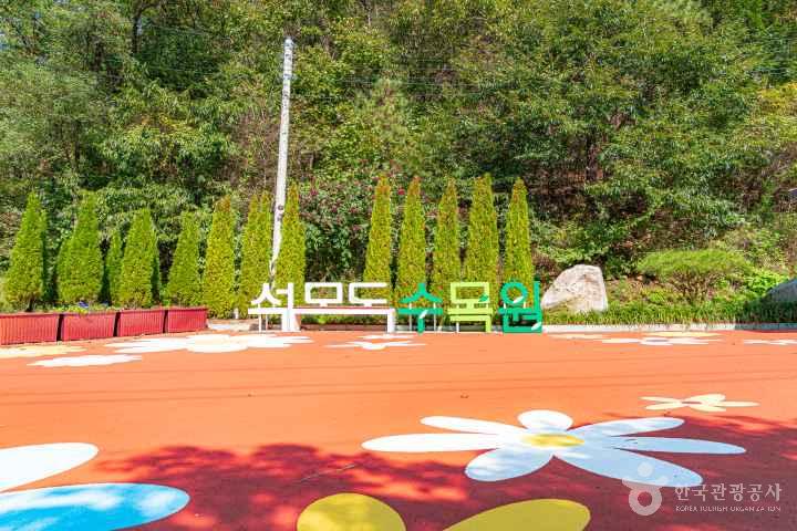 Seongmodo Island Arboretum