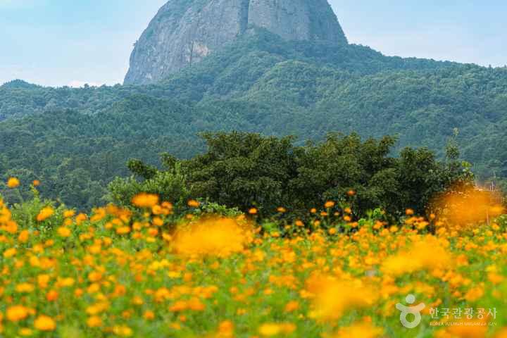 마이산