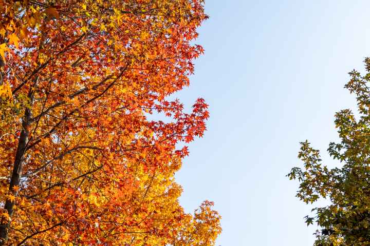 경상남도 수목원