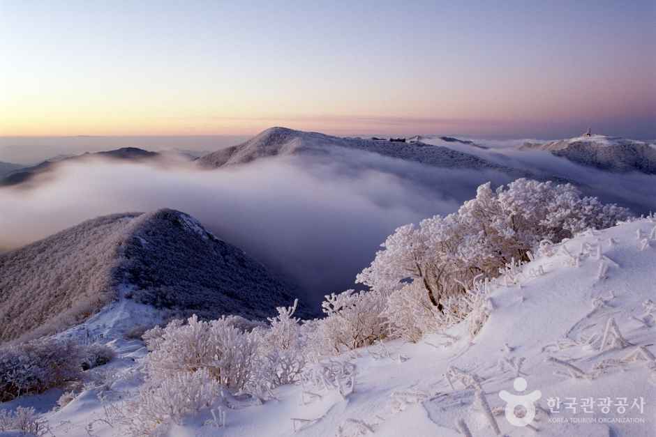 Winter of Sobaeksan Mountain