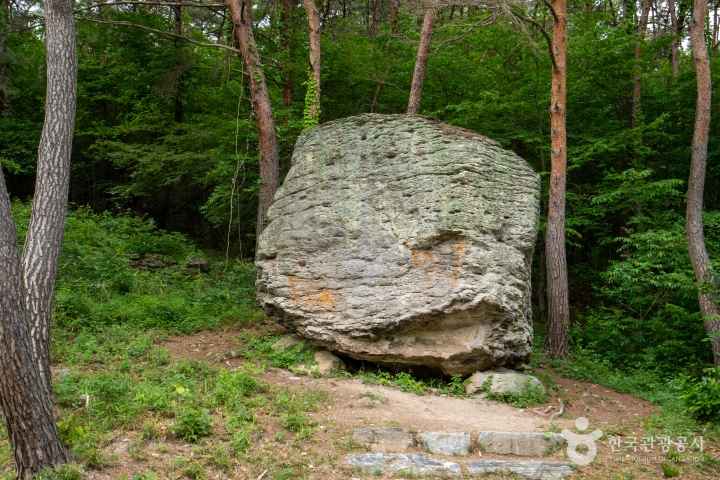 운곡람사르습지