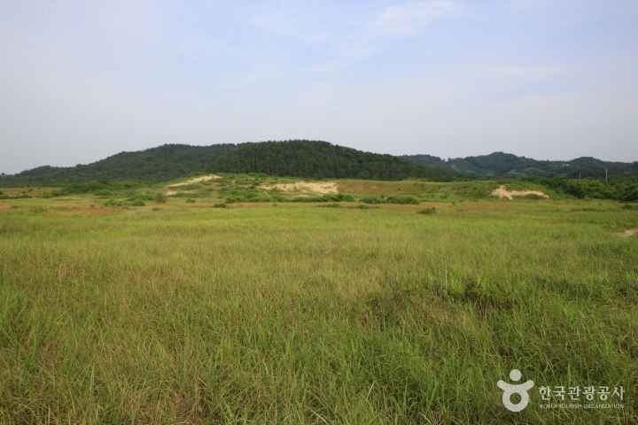 Sinduri sand dune 