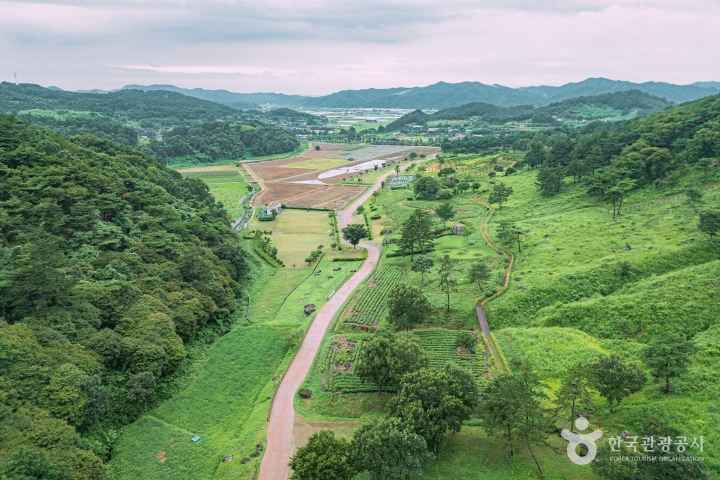 화순 고인돌 유적지