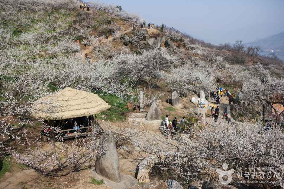 Maehwa Village-Plum Blossom Village