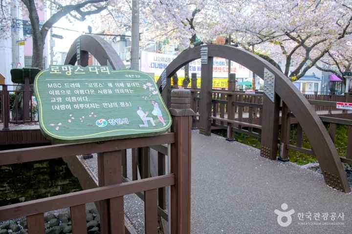 2024 진해군항제