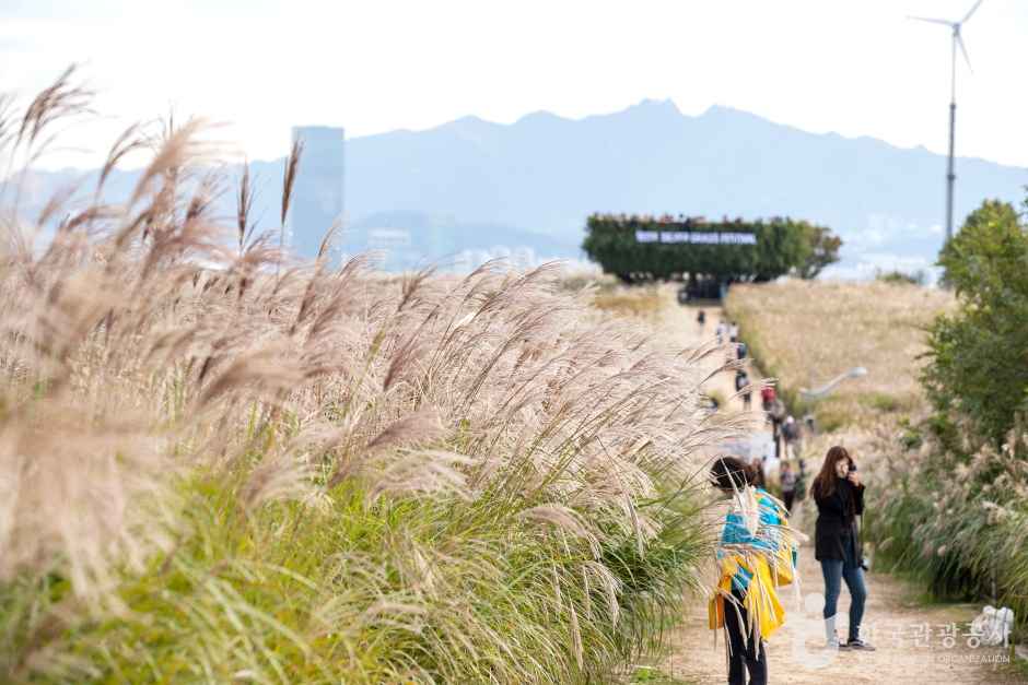 서울 하늘공원