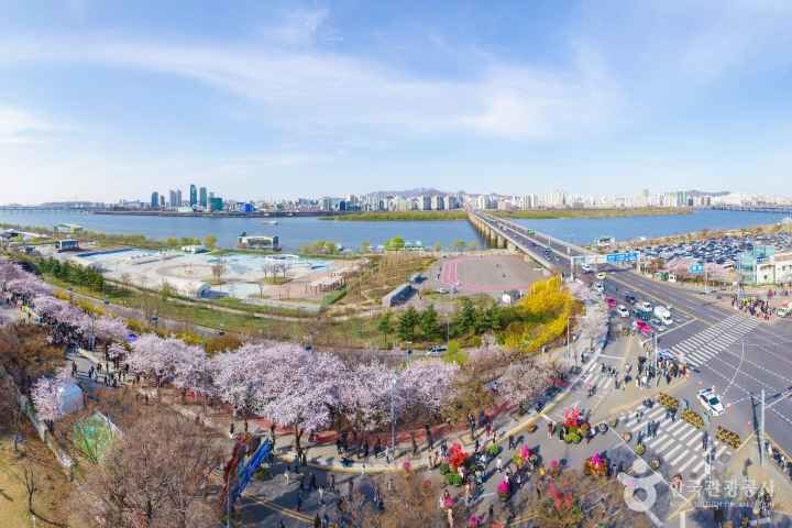 2019 영등포 여의도 봄꽃축제