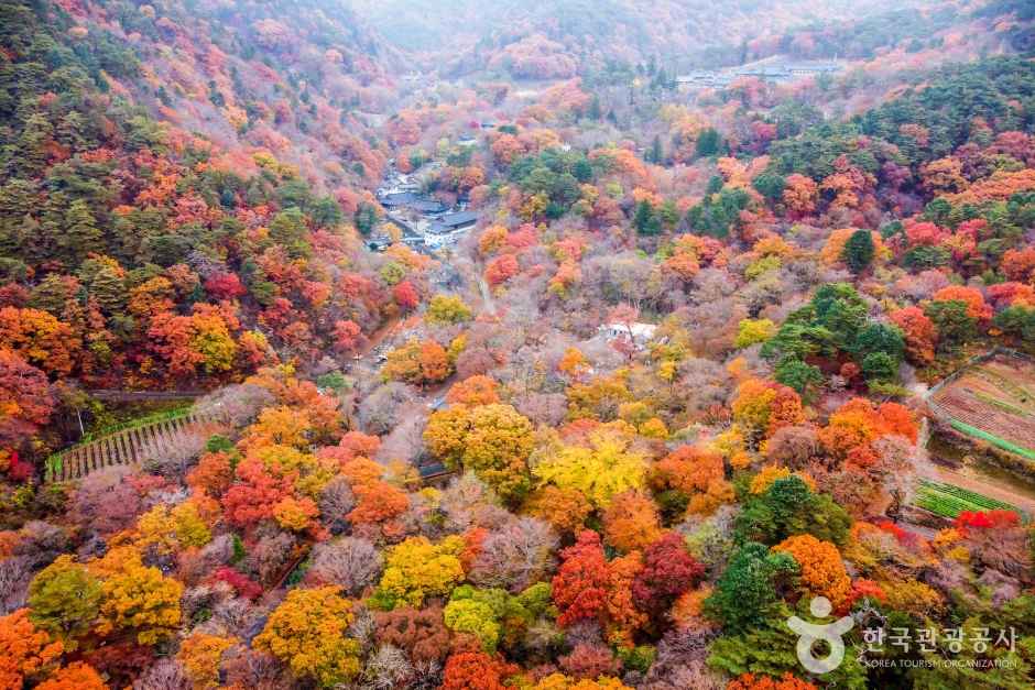 Autumn of Gayasan Mountain