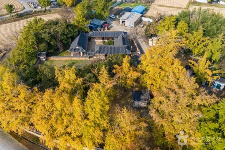 Cheongna Ginkgo Village