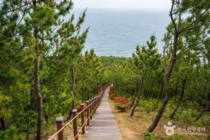Erosion Control Memorial Park