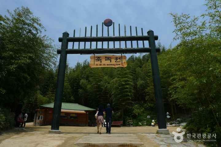 죽녹원