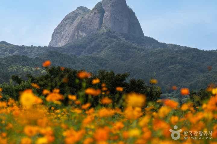 마이산