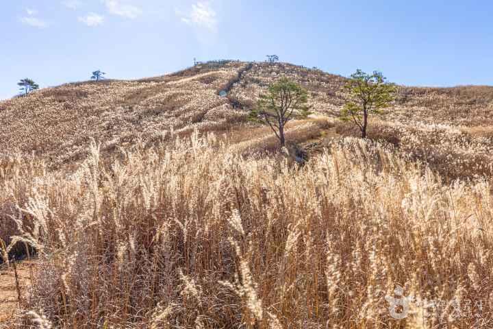 민둥산