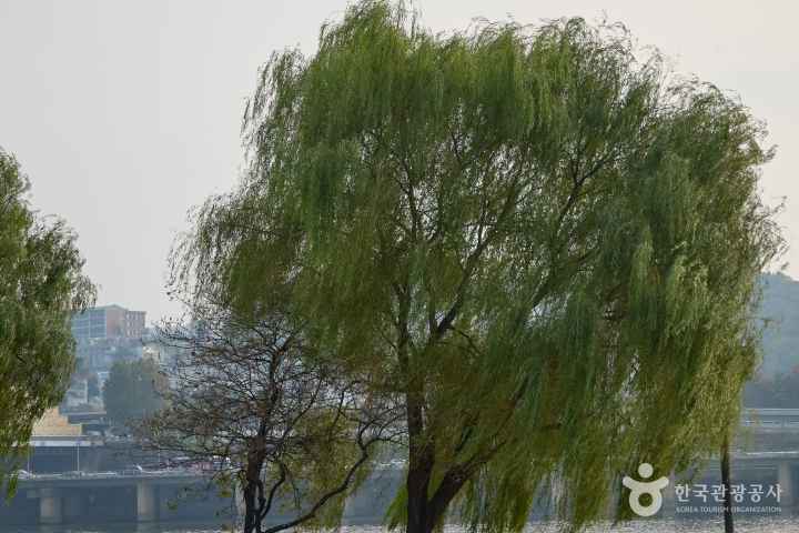 Nodeulseom Island