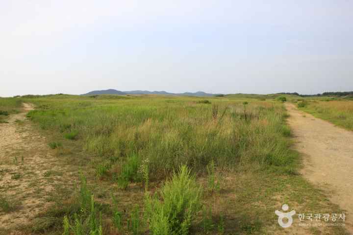 Sinduri sand dune 