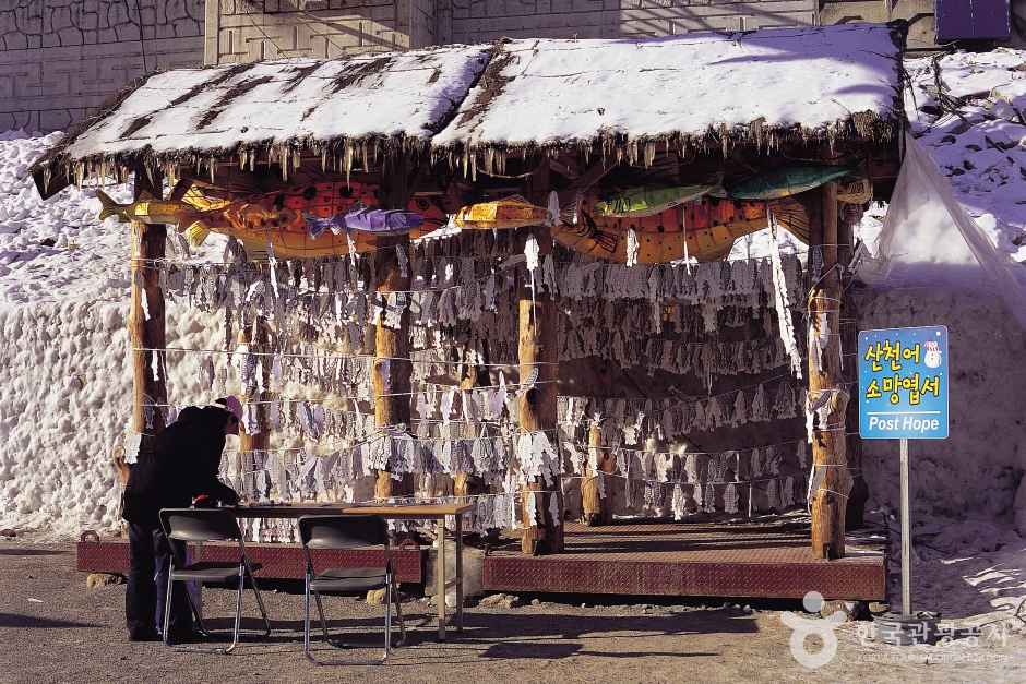 Hwacheon Sancheoneo Ice Festival