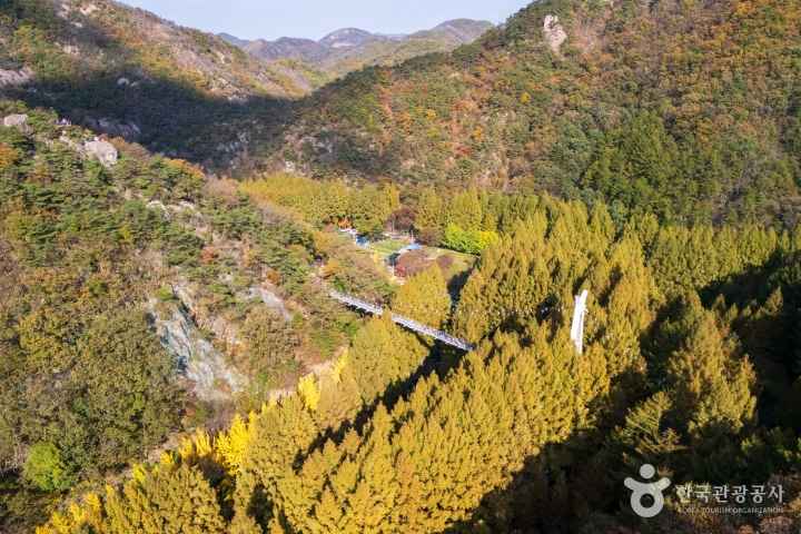 장태산자연휴양림