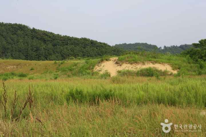 Sinduri sand dune 