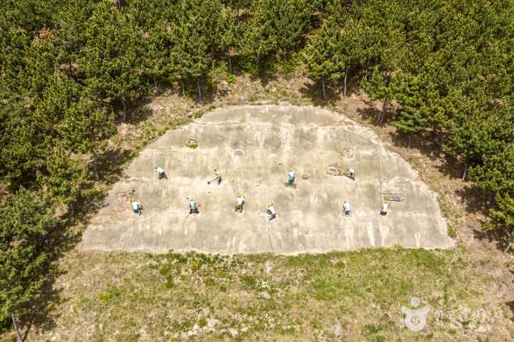Erosion Control Memorial Park