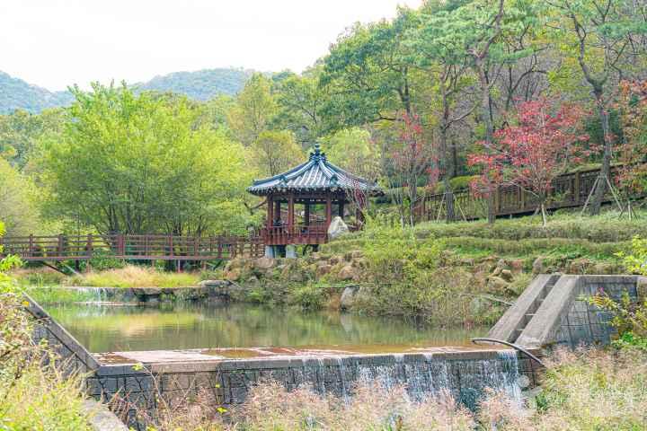 Seongmodo Island Arboretum