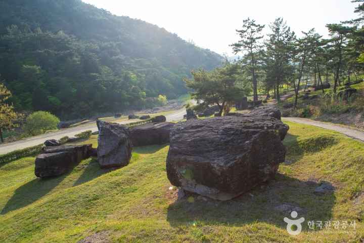 화순 고인돌 유적지