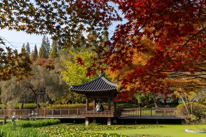 경상남도 수목원