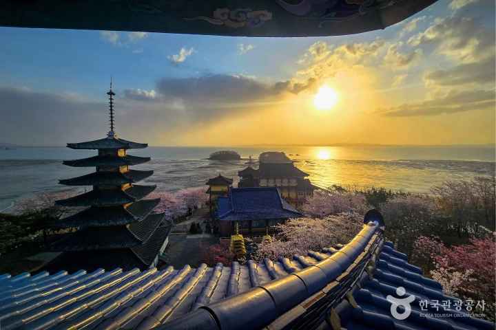 Spring at Anmyeonam Hermitage