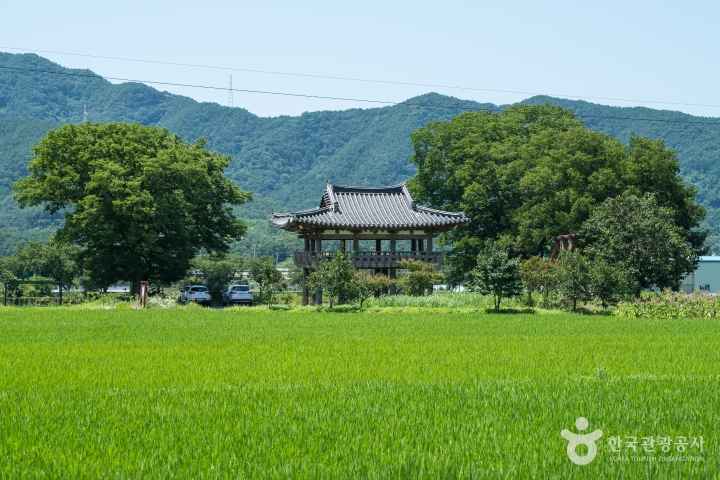 창평 삼지천슬로시티