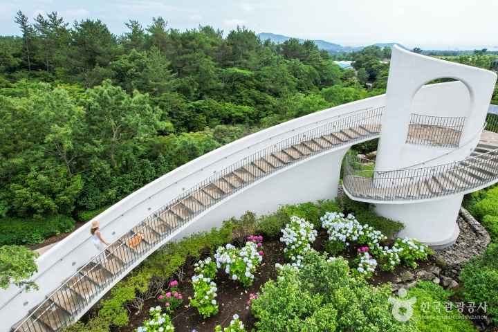 Camellia Hill