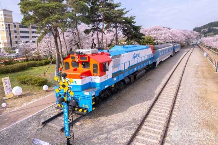 2024 진해군항제