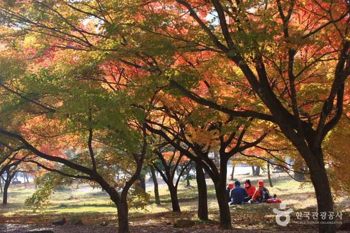 Mt. Naejangsan in Autumn 