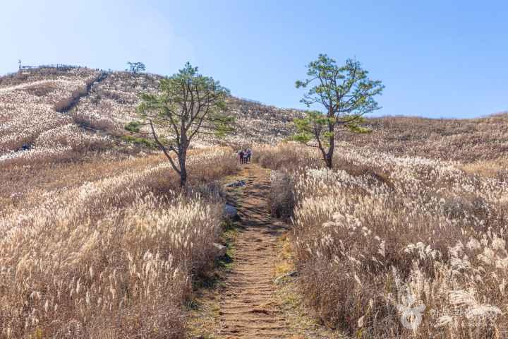민둥산