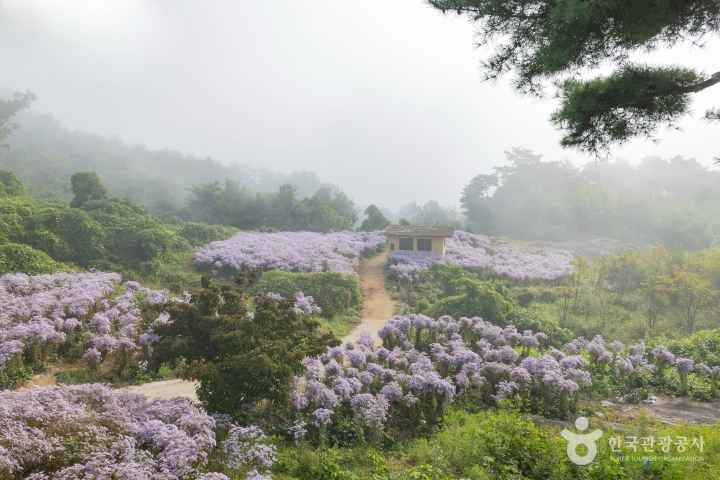 문경 봉천사