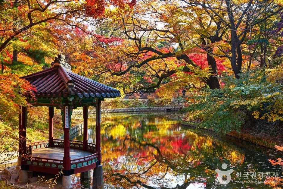 Autumn of Gwallamji Pond