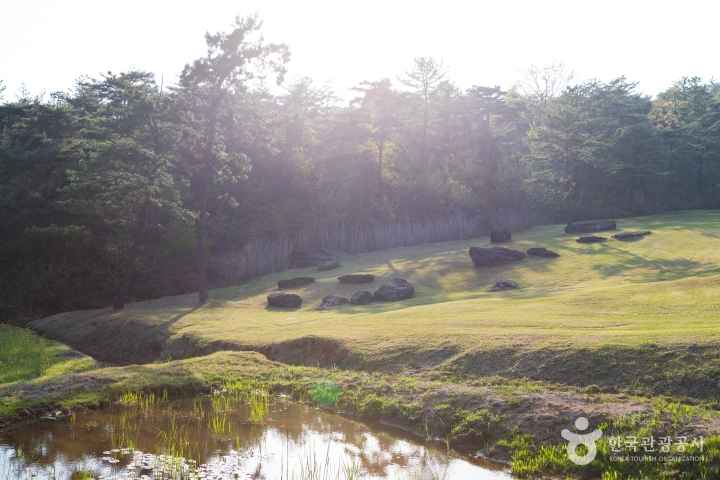 화순 고인돌 유적지