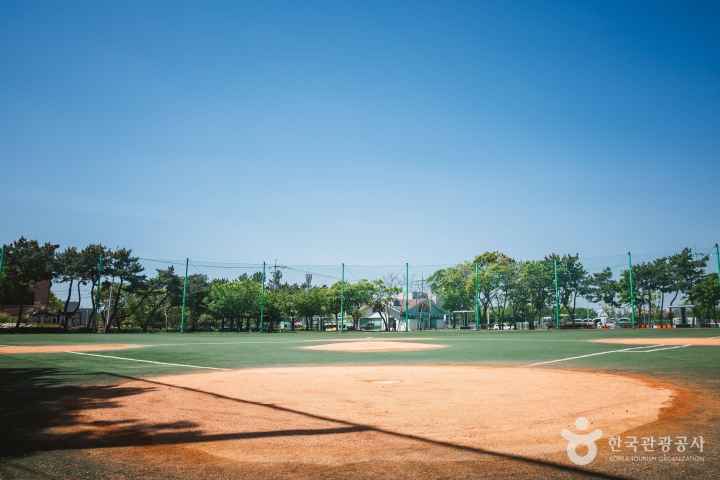 을숙도