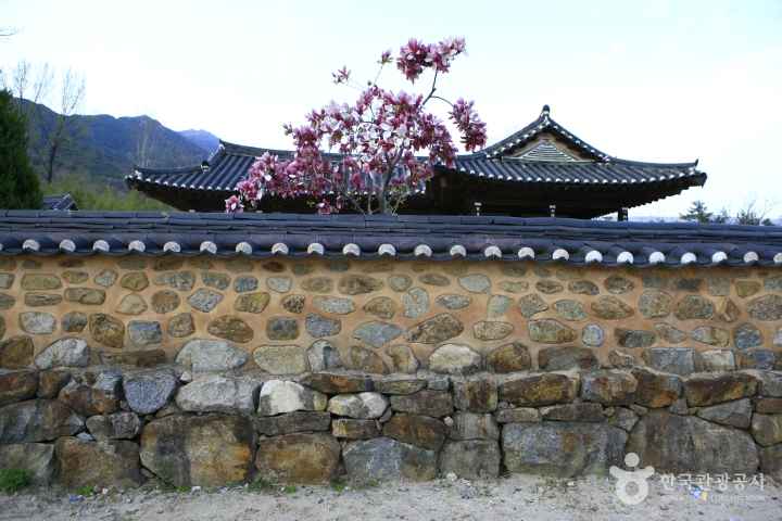 a Background site of Novel 'Land' 