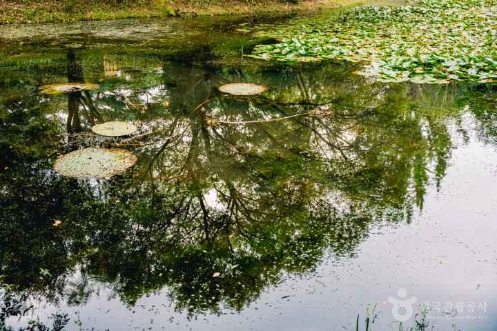 Gyeongsangnam-do Arboretum