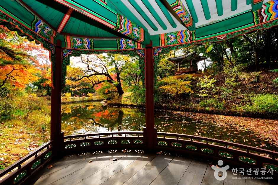 Autumn of Changdeokgung Palace's Huwon Garden