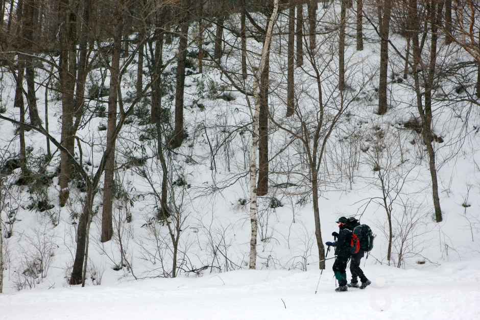 태백산 눈축제