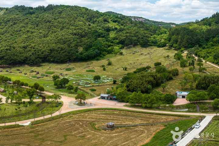 고창 고인돌 유적