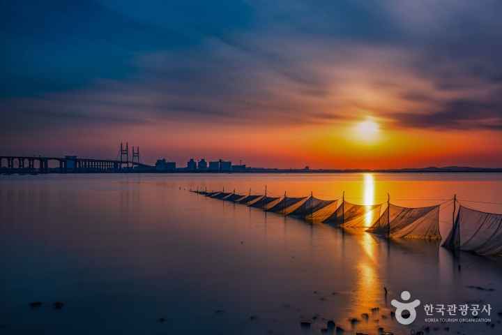 햇살을 건지는 그물