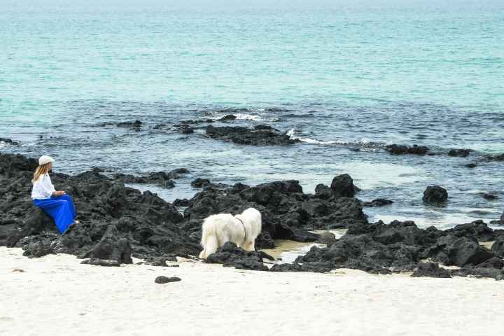 Handam Coastal Trail