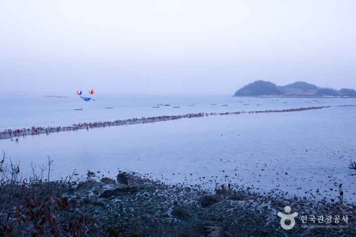 진도 신비의 바닷길 축제