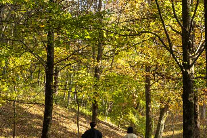 경상남도 수목원