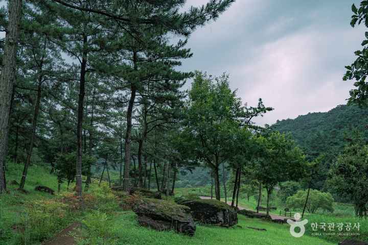 화순 고인돌 유적지
