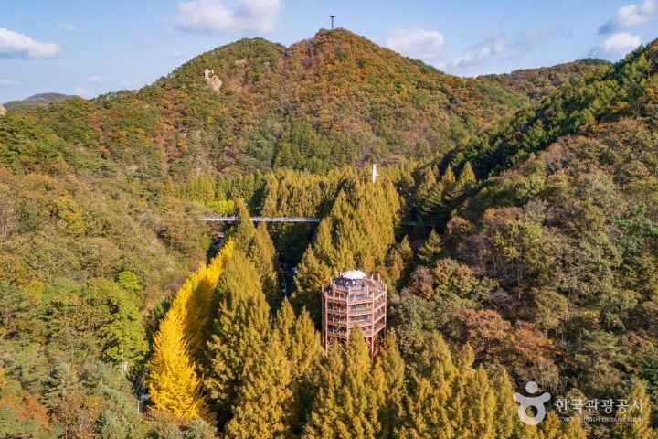 장태산자연휴양림