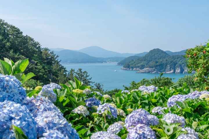Geoje Oedo-Botania