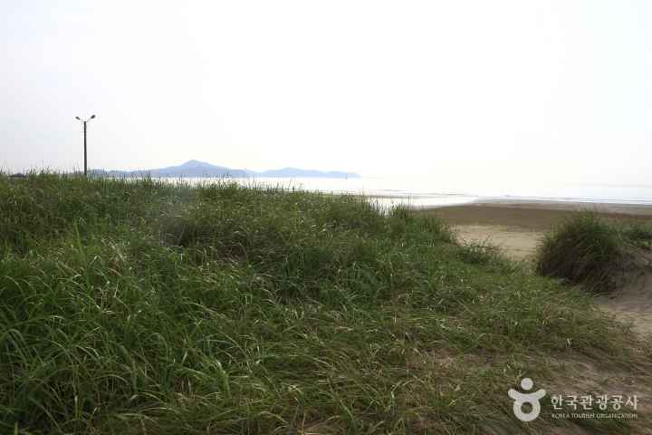Sinduri sand dune 