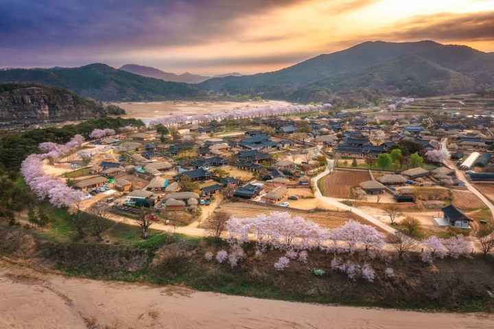 Spring on Andong Hahoe Village